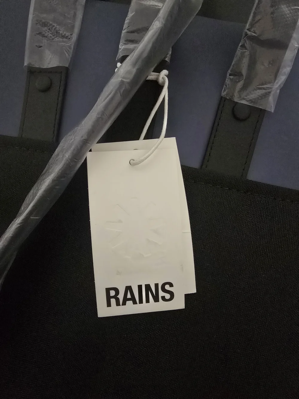 Rains Matte Blue Minimalist Backpack